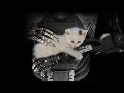 The Talos Principle 1 + 2 Bundle Cuenta de Steam