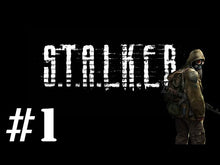 S.T.A.L.K.E.R. - Paquete Steam CD Key